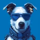 Smart Dog