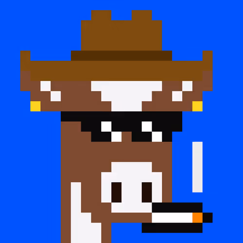 Cowpunks 1