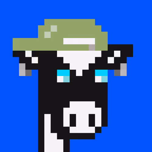 Cowpunks 1
