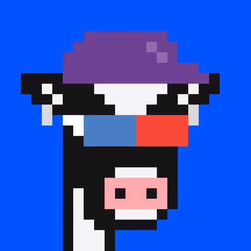 Cowpunks 1
