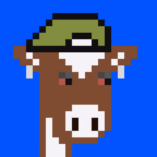 Cowpunks 1