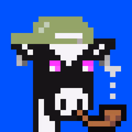 Cowpunks 1