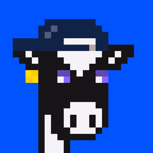 Cowpunks 1