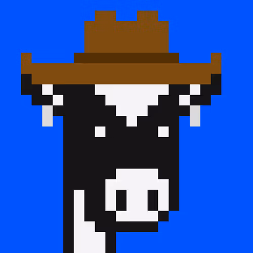 Cowpunks 1