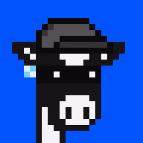 Cowpunks 1