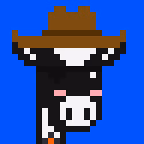 Cowpunks 1