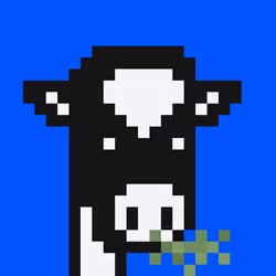 CowPunks #7314