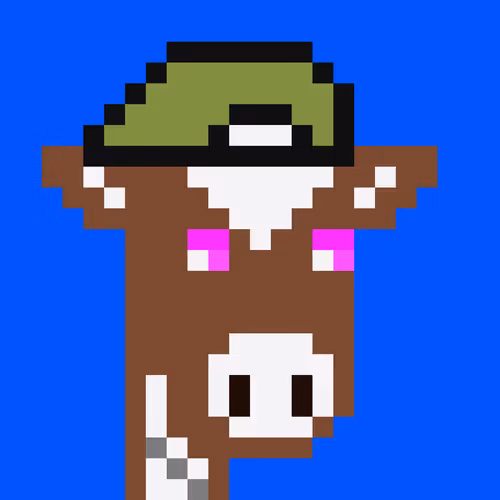 Cowpunks 1