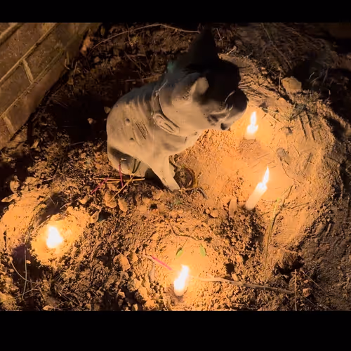 Kitty’s Memorial