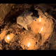 Kitty’s Memorial
