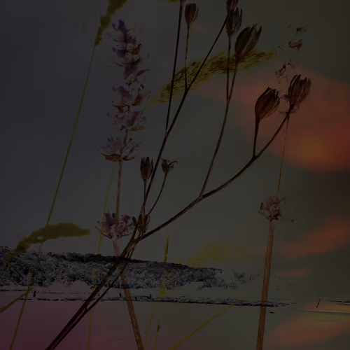 Fading to Night #11