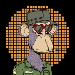 based ape #230