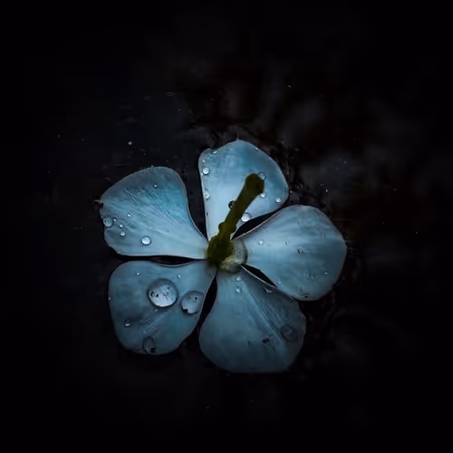 Water Drop.......!