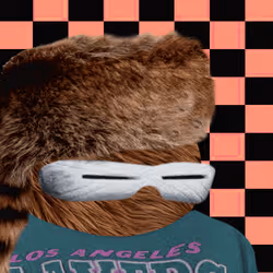 5552