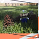 luigi