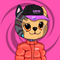 GANGTARDIO #884