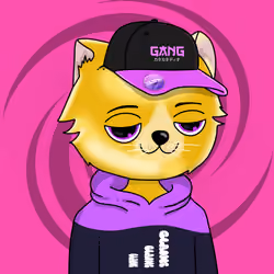 GANGTARDIO #892