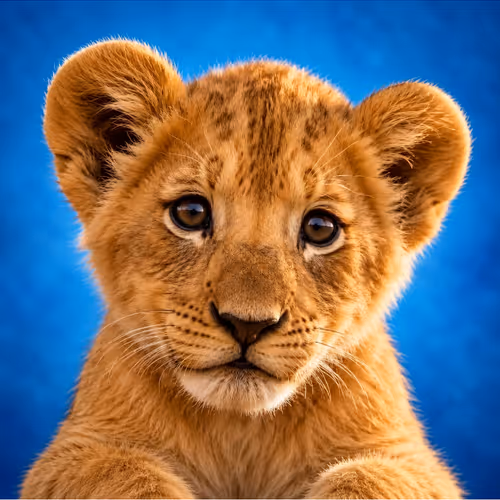 SIMBA