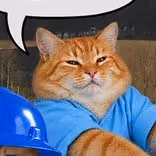 VIBECAT