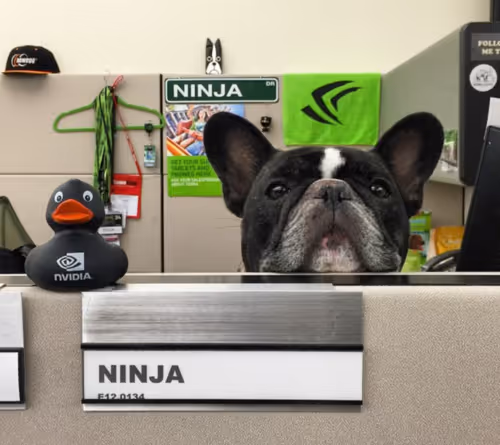 NINJA