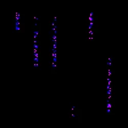 glyph #512