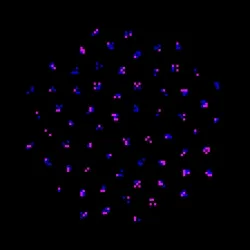 glyph #3232