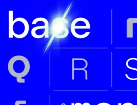 Base And Mono Rsa