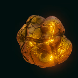 nugget #51