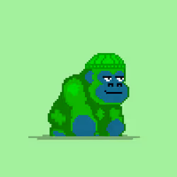7855
