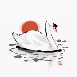 6