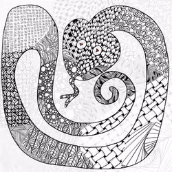 43
