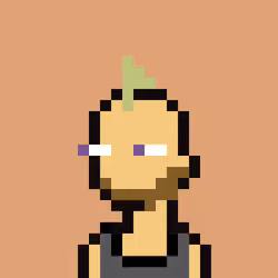 APunk #08239