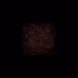 algorithm #7505