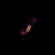 6672