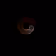 7269