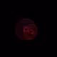 6462
