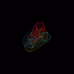 algorithm #6607