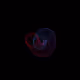6668