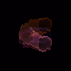 algorithm #1161
