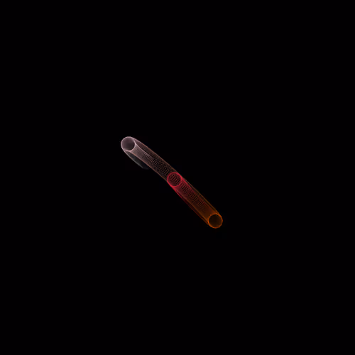 Algorithmjamesrichardfry