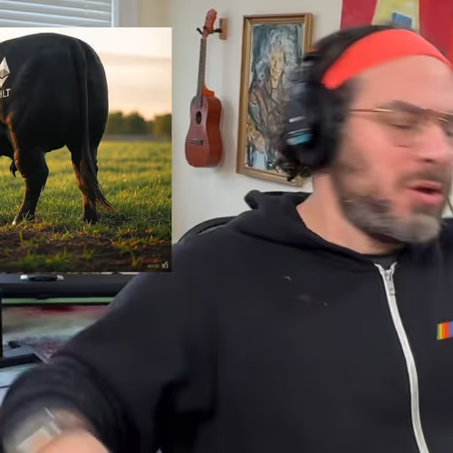 Song A Day On Networked Art