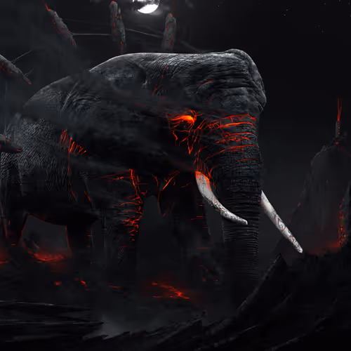 Black Elephant 3