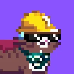 Villager #453