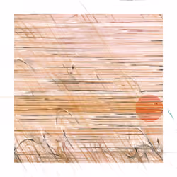 #212