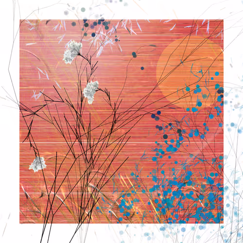 Pond 16