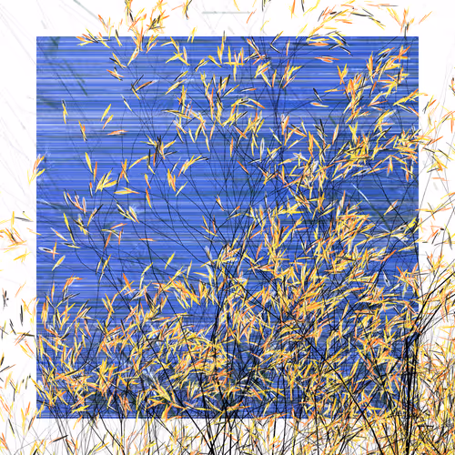 Pond 16