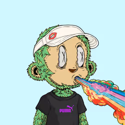 6776