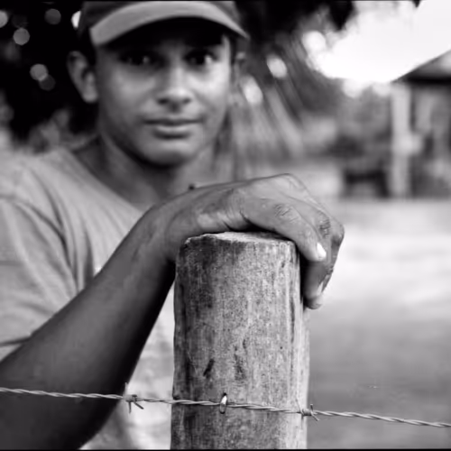 Series Daily Venezuela 13