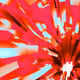 61