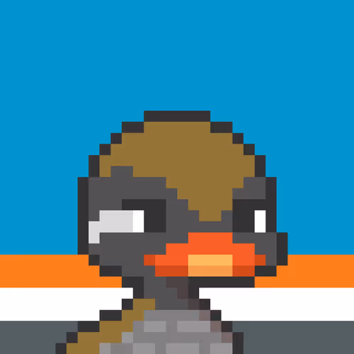 Where The Duck